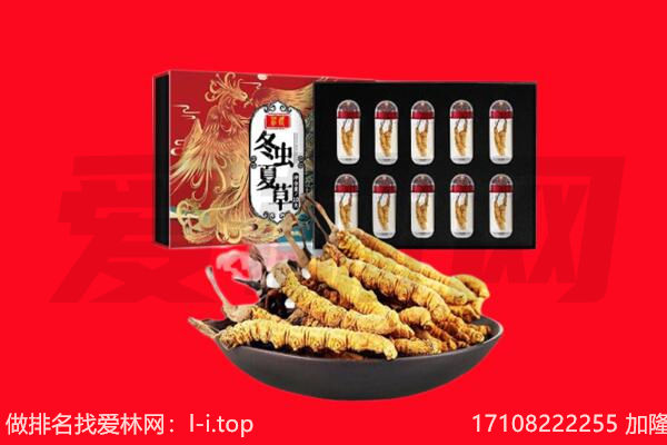 凌源市回收虫草.jpg
